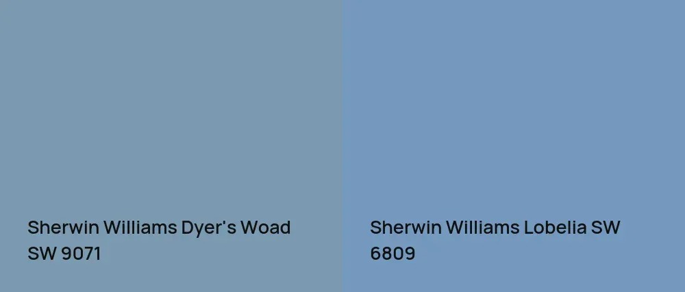 Sherwin Williams Dyer's Woad SW 9071 vs Sherwin Williams Lobelia SW 6809