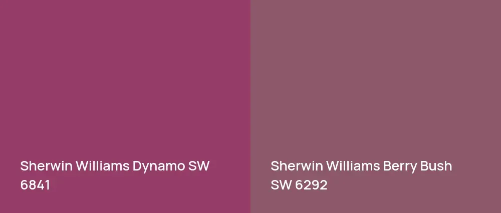 Sherwin Williams Dynamo SW 6841 vs Sherwin Williams Berry Bush SW 6292