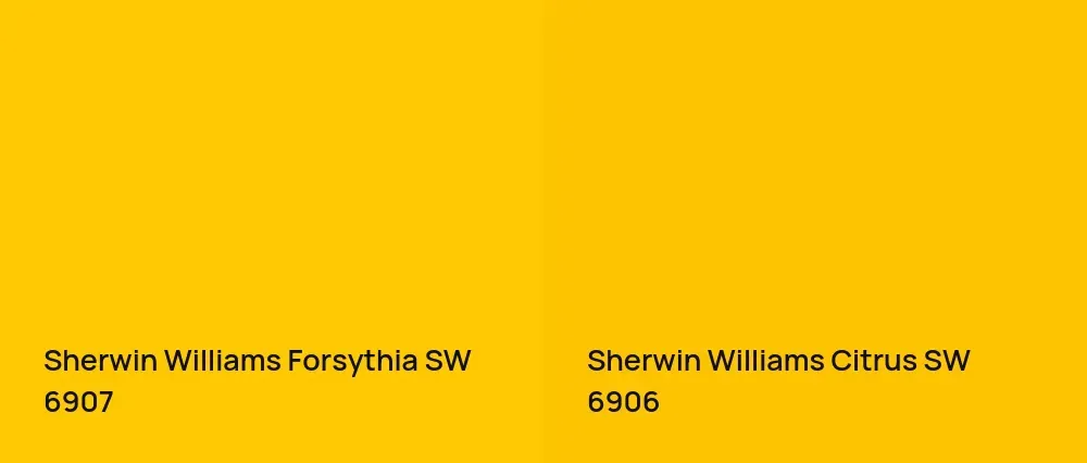 Sherwin Williams Forsythia SW 6907 vs Sherwin Williams Citrus SW 6906