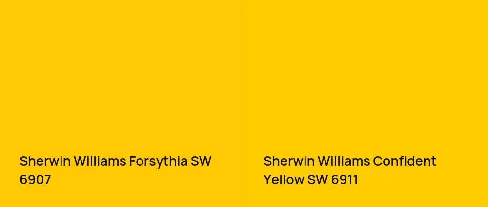 Sherwin Williams Forsythia SW 6907 vs Sherwin Williams Confident Yellow SW 6911