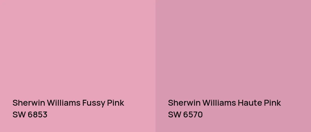 Sherwin Williams Fussy Pink SW 6853 vs Sherwin Williams Haute Pink SW 6570