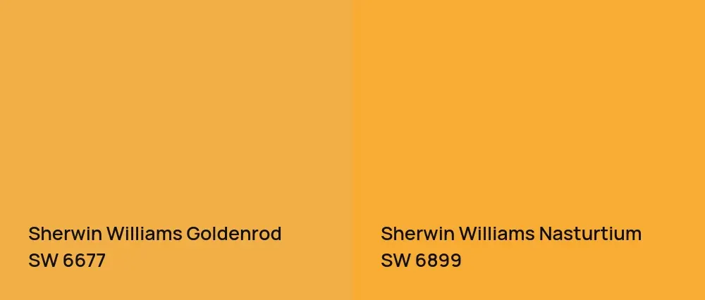 Sherwin Williams Goldenrod SW 6677 vs Sherwin Williams Nasturtium SW 6899