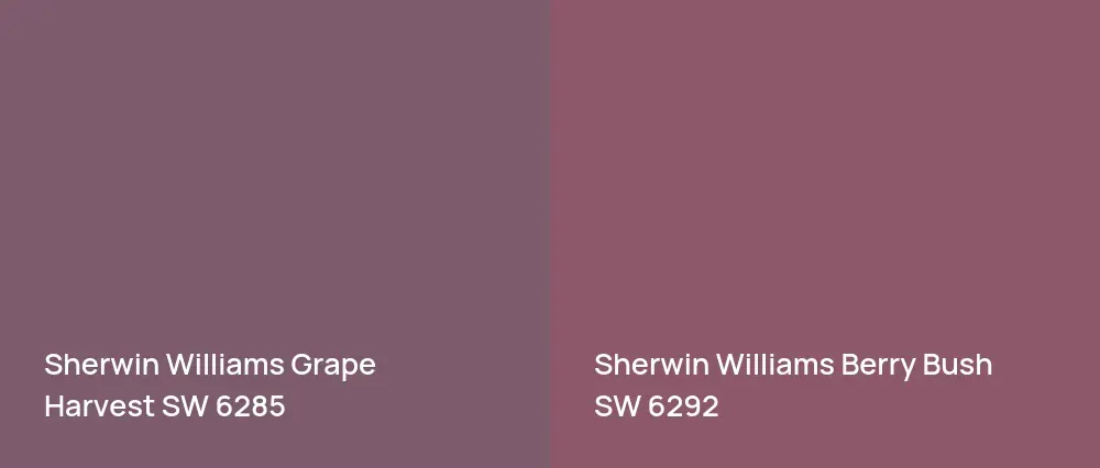 Sherwin Williams Grape Harvest SW 6285 vs Sherwin Williams Berry Bush SW 6292