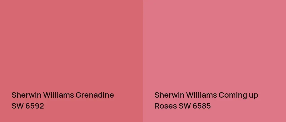 Sherwin Williams Grenadine SW 6592 vs Sherwin Williams Coming up Roses SW 6585