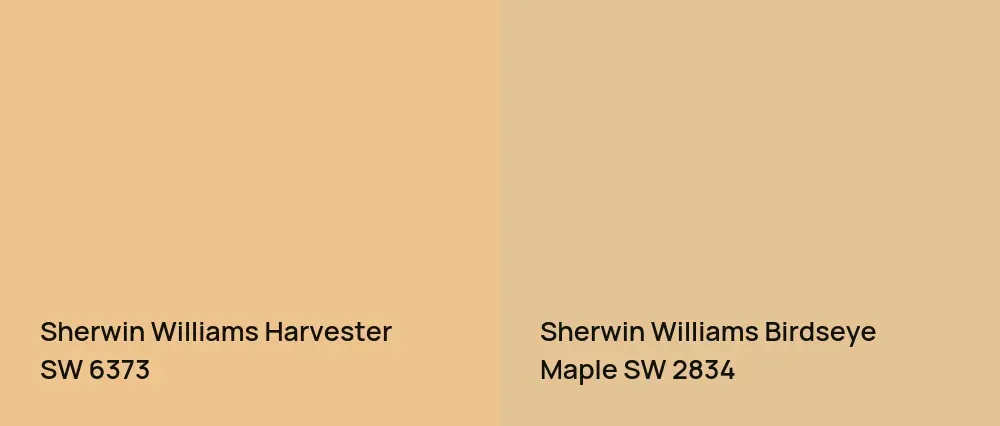 Sherwin Williams Harvester SW 6373 vs Sherwin Williams Birdseye Maple SW 2834