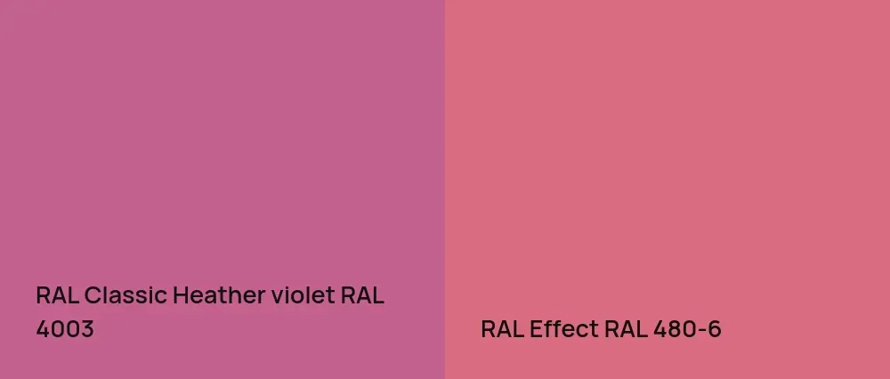 RAL Classic Heather violet RAL 4003 vs RAL Effect  RAL 480-6