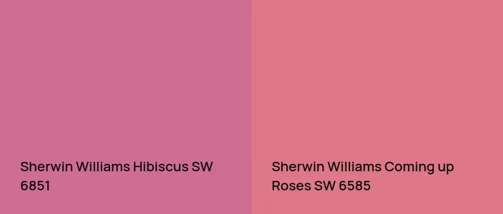 Sherwin Williams Hibiscus SW 6851 vs Sherwin Williams Coming up Roses SW 6585