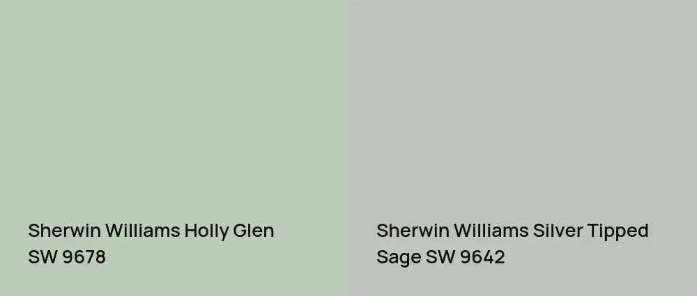 Sherwin Williams Holly Glen SW 9678 vs Sherwin Williams Silver Tipped Sage SW 9642