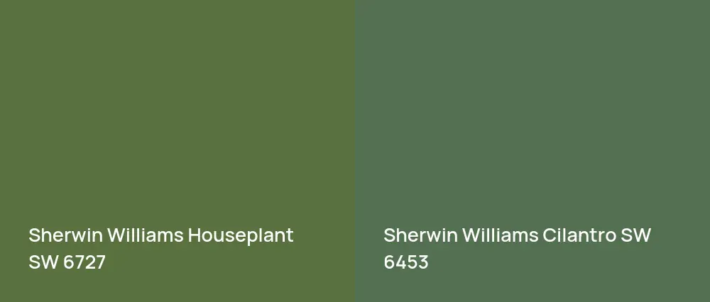 Sherwin Williams Houseplant SW 6727 vs Sherwin Williams Cilantro SW 6453