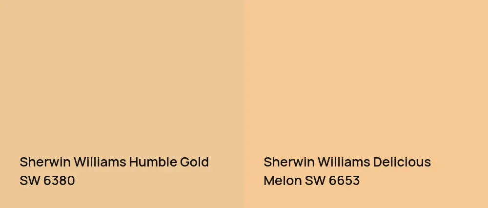 Sherwin Williams Humble Gold SW 6380 vs Sherwin Williams Delicious Melon SW 6653
