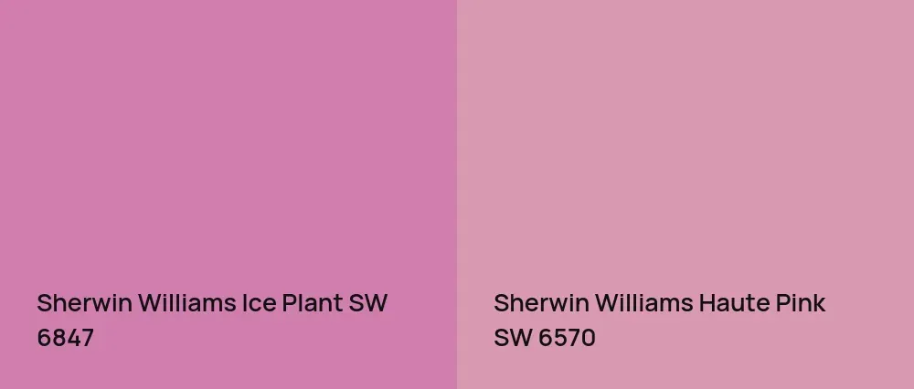 Sherwin Williams Ice Plant SW 6847 vs Sherwin Williams Haute Pink SW 6570