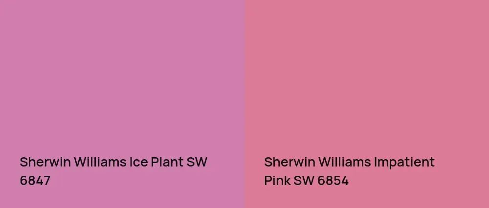 Sherwin Williams Ice Plant SW 6847 vs Sherwin Williams Impatient Pink SW 6854