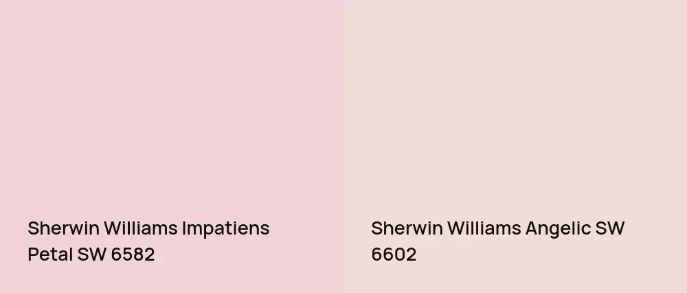 Sherwin Williams Impatiens Petal SW 6582 vs Sherwin Williams Angelic SW 6602