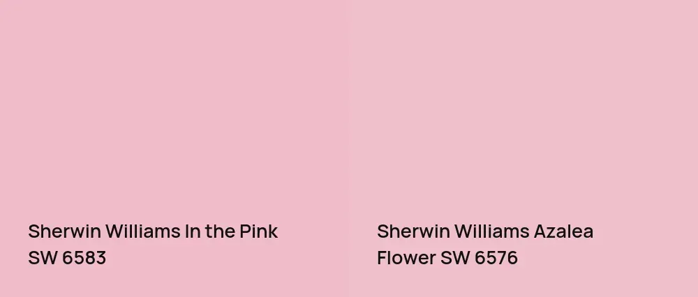 Sherwin Williams In the Pink SW 6583 vs Sherwin Williams Azalea Flower SW 6576