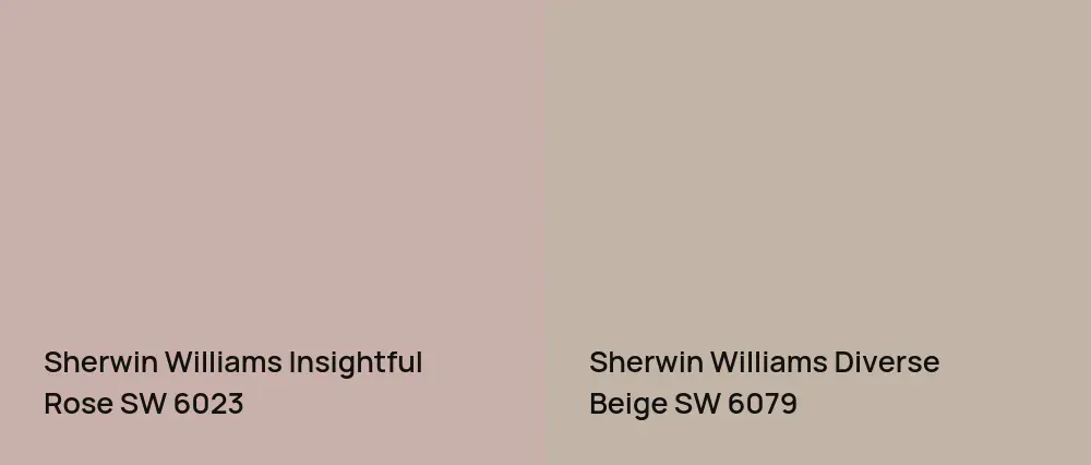 Sherwin Williams Insightful Rose SW 6023 vs Sherwin Williams Diverse Beige SW 6079