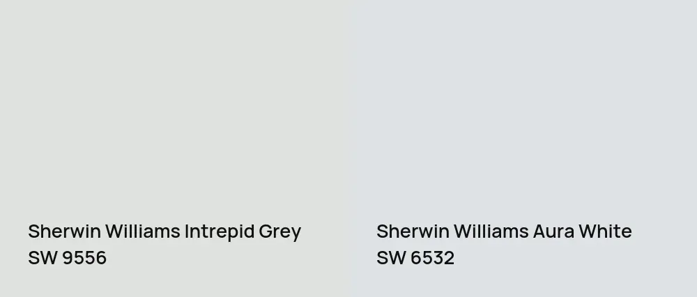 Sherwin Williams Intrepid Grey SW 9556 vs Sherwin Williams Aura White SW 6532