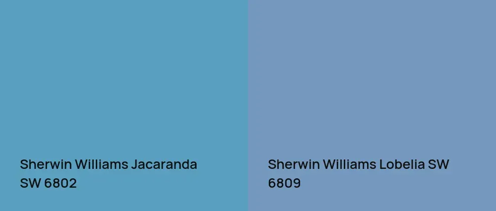 Sherwin Williams Jacaranda SW 6802 vs Sherwin Williams Lobelia SW 6809