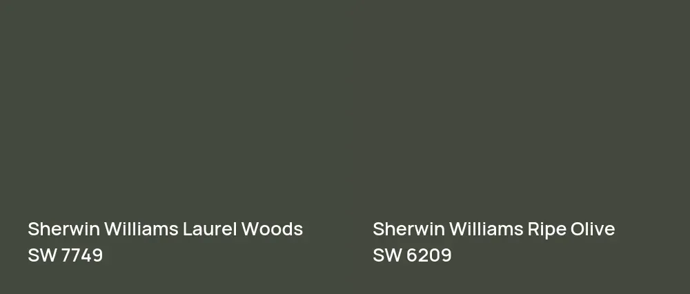 Sherwin Williams Laurel Woods SW 7749 vs Sherwin Williams Ripe Olive SW 6209