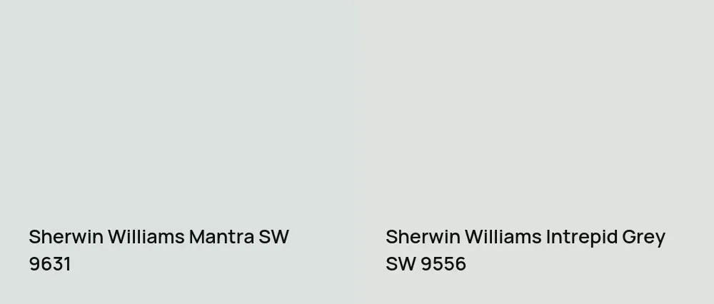 Sherwin Williams Mantra SW 9631 vs Sherwin Williams Intrepid Grey SW 9556