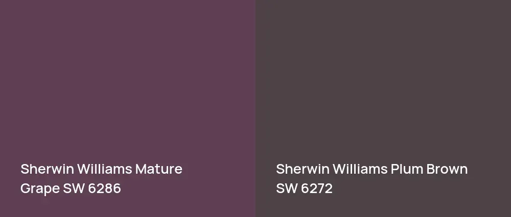 Sherwin Williams Mature Grape SW 6286 vs Sherwin Williams Plum Brown SW 6272