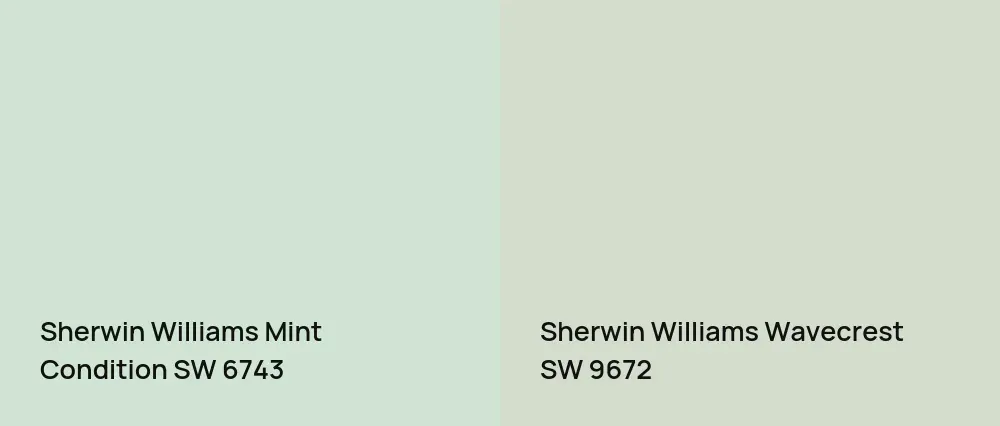 Sherwin Williams Mint Condition SW 6743 vs Sherwin Williams Wavecrest SW 9672