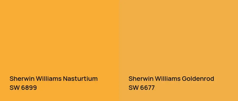 Sherwin Williams Nasturtium SW 6899 vs Sherwin Williams Goldenrod SW 6677