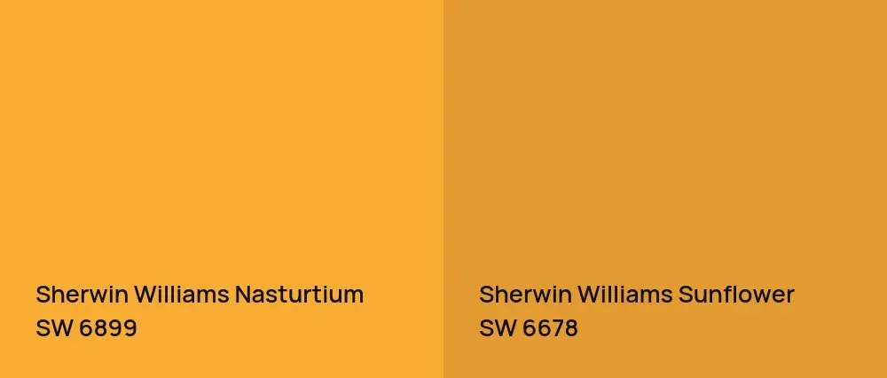 Sherwin Williams Nasturtium SW 6899 vs Sherwin Williams Sunflower SW 6678