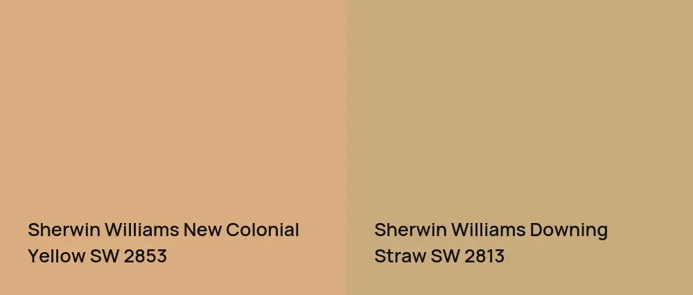 Sherwin Williams New Colonial Yellow SW 2853 vs Sherwin Williams Downing Straw SW 2813