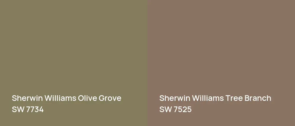 Sherwin Williams Olive Grove SW 7734 vs Sherwin Williams Tree Branch SW 7525