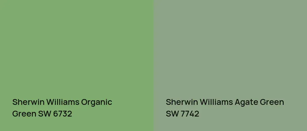 Sherwin Williams Organic Green SW 6732 vs Sherwin Williams Agate Green SW 7742