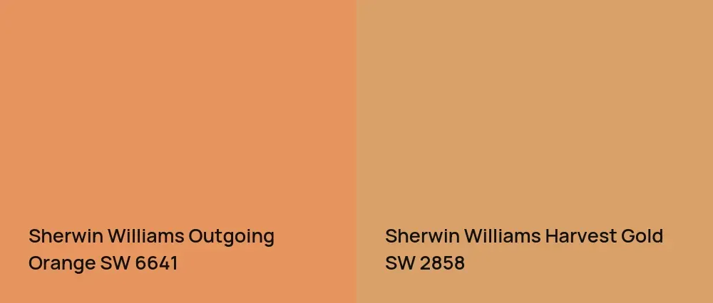 Sherwin Williams Outgoing Orange SW 6641 vs Sherwin Williams Harvest Gold SW 2858