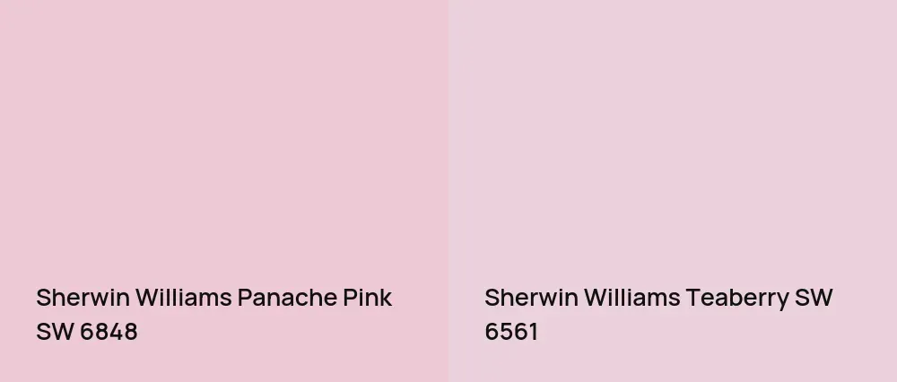 Sherwin Williams Panache Pink SW 6848 vs Sherwin Williams Teaberry SW 6561