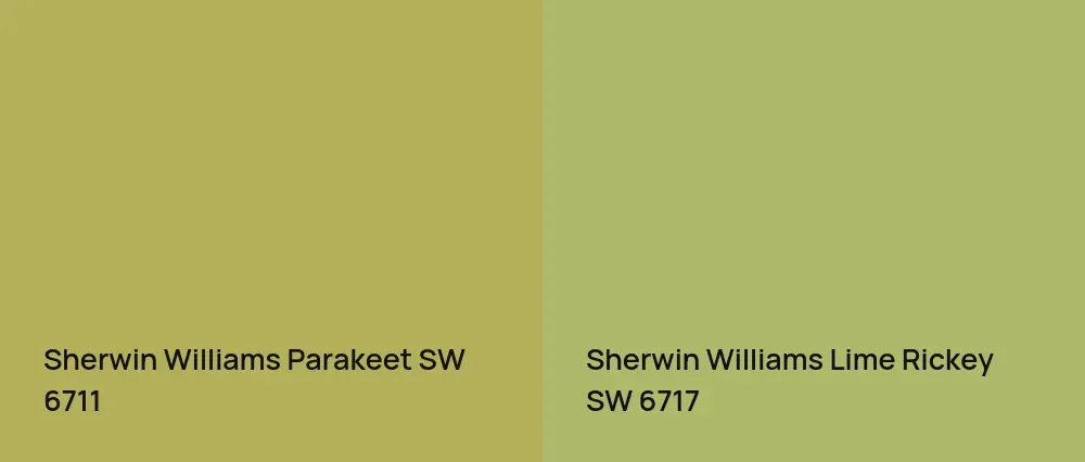 Sherwin Williams Parakeet SW 6711 vs Sherwin Williams Lime Rickey SW 6717