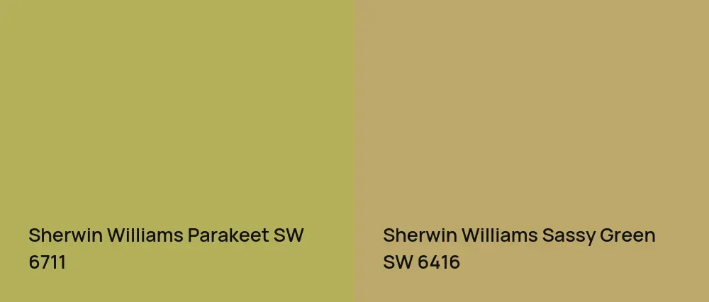 Sherwin Williams Parakeet SW 6711 vs Sherwin Williams Sassy Green SW 6416