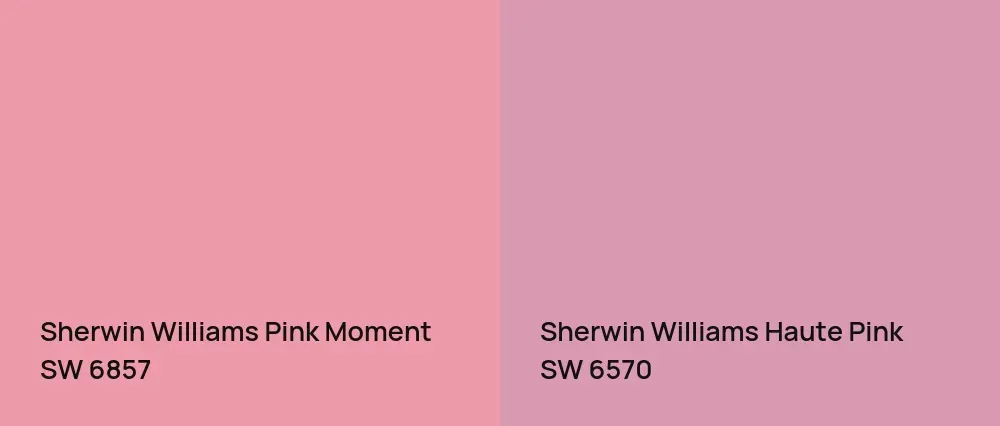 Sherwin Williams Pink Moment SW 6857 vs Sherwin Williams Haute Pink SW 6570