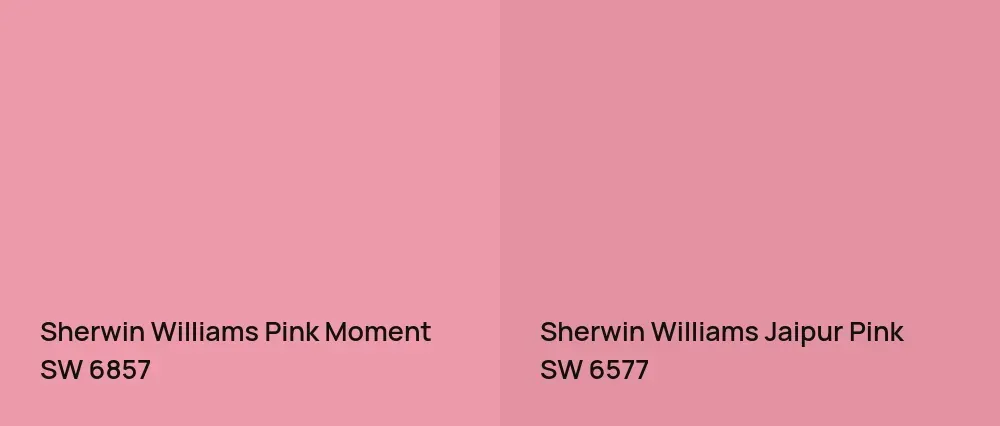 Sherwin Williams Pink Moment SW 6857 vs Sherwin Williams Jaipur Pink SW 6577