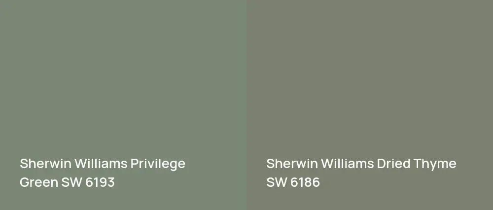 Sherwin Williams Privilege Green SW 6193 vs Sherwin Williams Dried Thyme SW 6186