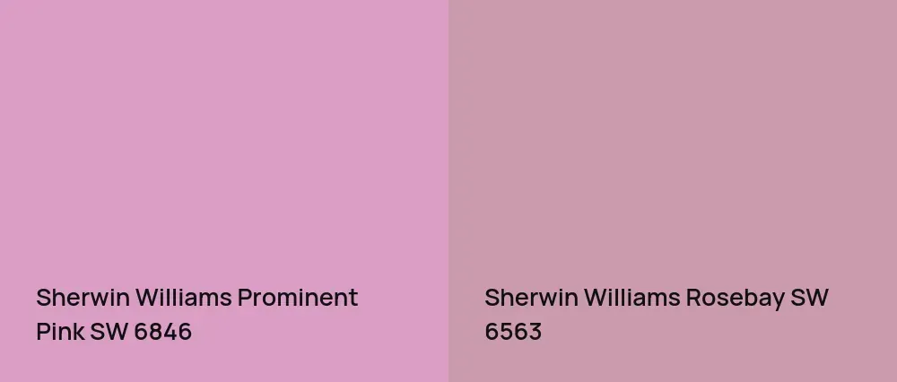 Sherwin Williams Prominent Pink SW 6846 vs Sherwin Williams Rosebay SW 6563