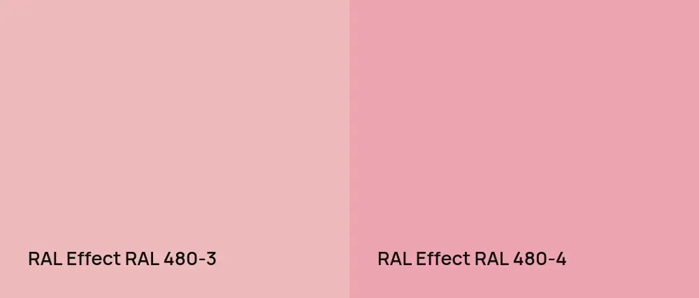 RAL Effect  RAL 480-3 vs RAL Effect  RAL 480-4
