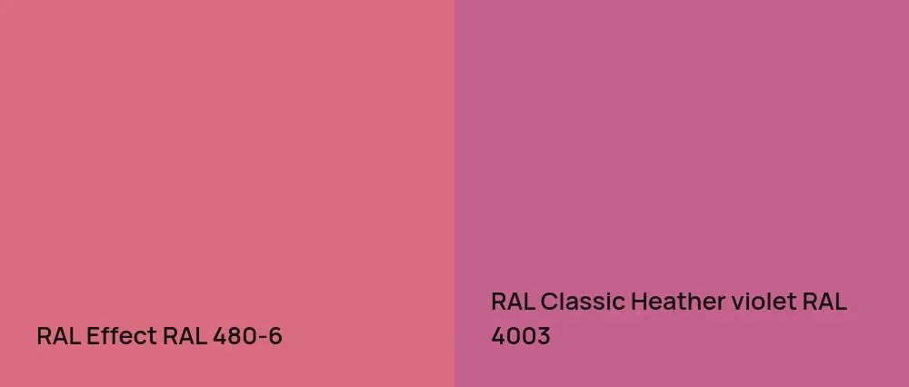 RAL Effect  RAL 480-6 vs RAL Classic Heather violet RAL 4003