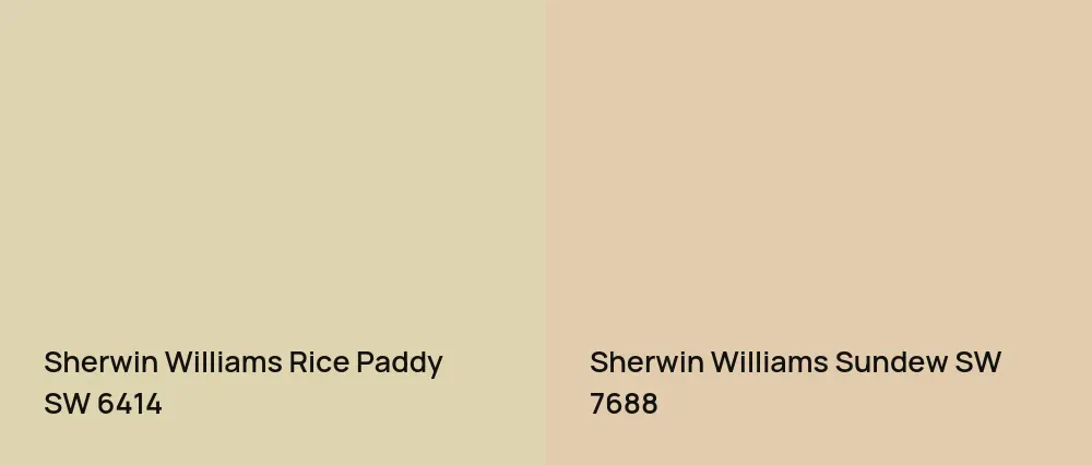 Sherwin Williams Rice Paddy SW 6414 vs Sherwin Williams Sundew SW 7688