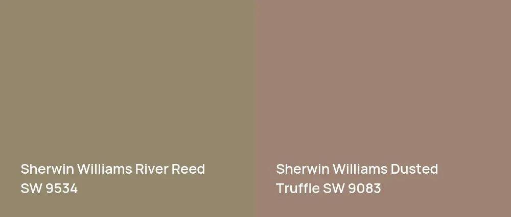 Sherwin Williams River Reed SW 9534 vs Sherwin Williams Dusted Truffle SW 9083