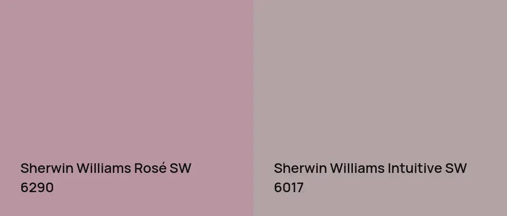 Sherwin Williams Rosé SW 6290 vs Sherwin Williams Intuitive SW 6017