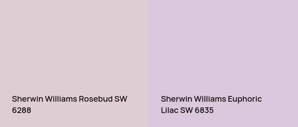 Sherwin Williams Rosebud SW 6288 vs Sherwin Williams Euphoric Lilac SW 6835