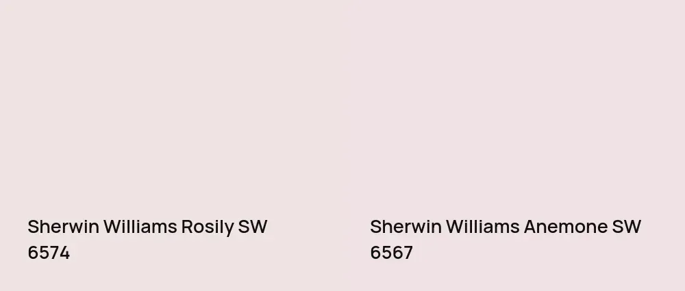Sherwin Williams Rosily SW 6574 vs Sherwin Williams Anemone SW 6567