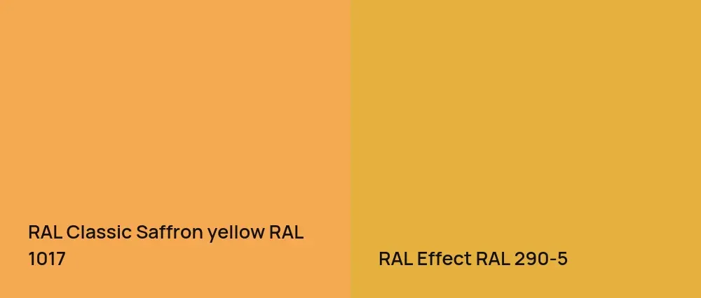 RAL Classic  Saffron yellow RAL 1017 vs RAL Effect  RAL 290-5