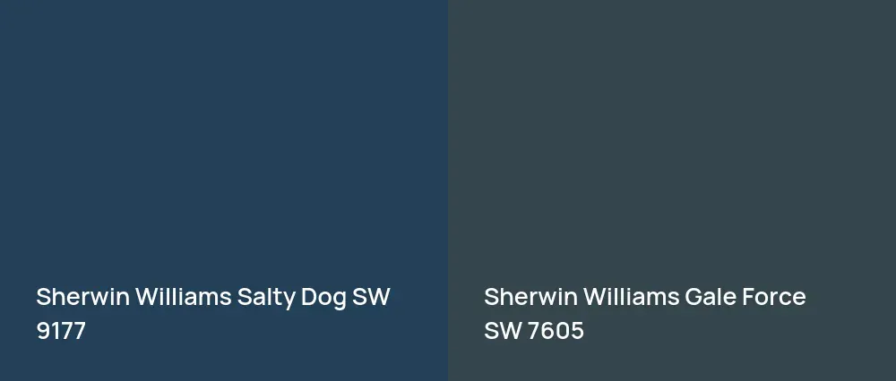 Sherwin Williams Salty Dog SW 9177 vs Sherwin Williams Gale Force SW 7605