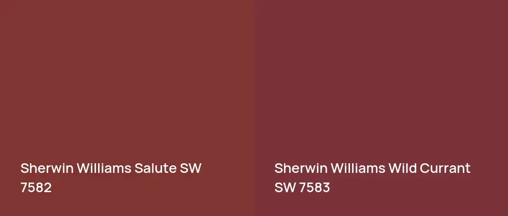 Sherwin Williams Salute SW 7582 vs Sherwin Williams Wild Currant SW 7583