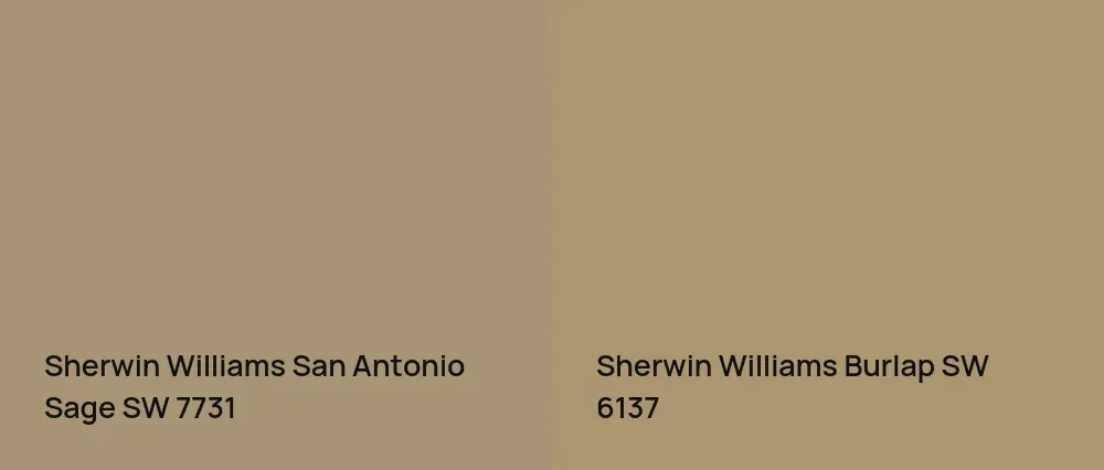 Sherwin Williams San Antonio Sage SW 7731 vs Sherwin Williams Burlap SW 6137
