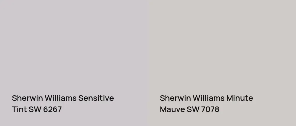 Sherwin Williams Sensitive Tint SW 6267 vs Sherwin Williams Minute Mauve SW 7078